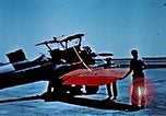 Image of locust plague Iran, 1951, second 28 stock footage video 65675024525