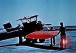 Image of locust plague Iran, 1951, second 31 stock footage video 65675024525