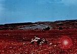 Image of locust plague Iran, 1951, second 32 stock footage video 65675024525