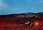 Image of locust plague Iran, 1951, second 33 stock footage video 65675024525