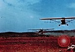 Image of locust plague Iran, 1951, second 35 stock footage video 65675024525