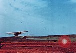 Image of locust plague Iran, 1951, second 37 stock footage video 65675024525