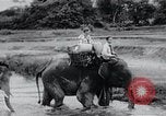 Immagine di Campagna di comunicazione dell'Agenzia dell'informazione degli Stati Uniti in Asia Asia, 1956, secondo 46 filmato di repertorio 65675024536