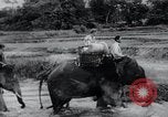 Immagine di Campagna di comunicazione dell'Agenzia dell'informazione degli Stati Uniti in Asia Asia, 1956, secondo 47 filmato di repertorio 65675024536