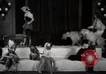 Image of Debutante Dogs Boston Massachusetts USA, 1939, second 10 stock footage video 65675024549