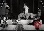 Image of Debutante Dogs Boston Massachusetts USA, 1939, second 12 stock footage video 65675024549
