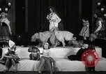Image of Debutante Dogs Boston Massachusetts USA, 1939, second 13 stock footage video 65675024549