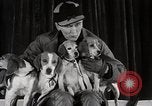 Image of Debutante Dogs Boston Massachusetts USA, 1939, second 20 stock footage video 65675024549