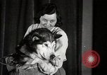 Image of Debutante Dogs Boston Massachusetts USA, 1939, second 23 stock footage video 65675024549
