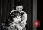 Image of Debutante Dogs Boston Massachusetts USA, 1939, second 24 stock footage video 65675024549
