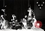 Image of Debutante Dogs Boston Massachusetts USA, 1939, second 25 stock footage video 65675024549