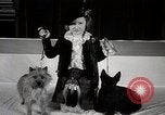 Image of Debutante Dogs Boston Massachusetts USA, 1939, second 28 stock footage video 65675024549