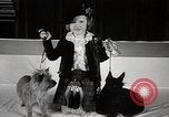 Image of Debutante Dogs Boston Massachusetts USA, 1939, second 29 stock footage video 65675024549