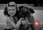 Image of Debutante Dogs Boston Massachusetts USA, 1939, second 30 stock footage video 65675024549