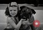 Image of Debutante Dogs Boston Massachusetts USA, 1939, second 31 stock footage video 65675024549