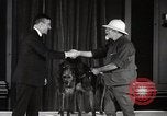 Image of Debutante Dogs Boston Massachusetts USA, 1939, second 37 stock footage video 65675024549