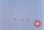 Image of US Marine Corp UH 34D helicopter Atlantic Ocean, 1962, second 16 stock footage video 65675024592