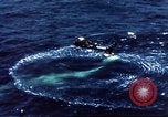 Immagine di Il mercurio Atlas 8 Cape Canaveral Florida USA, 1962, secondo 62 filmato di repertorio 65675024649