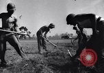 Standbild 817th Army Engineers Italien, 1943, aus Sekunde 39 historischem Filmmaterial Videoclip 65675024672