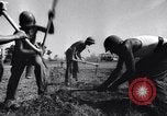 Standbild 817th Army Engineers Italien, 1943, aus Sekunde 40 historischem Filmmaterial Videoclip 65675024672