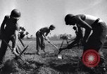 Standbild 817th Army Engineers Italien, 1943, aus Sekunde 41 historischem Filmmaterial Videoclip 65675024672