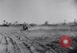 Immagine di P-38 Italia, 1943, secondo 38 filmato di repertorio 65675024673
