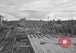 Immagine di V armata Mignano Italia, 1943, secondo 24 filmato di repertorio 65675024677