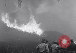 Immagine di Topanga Canyon fire Topanga California USA, 1943, secondo 1 filmato di repertorio 65675024682