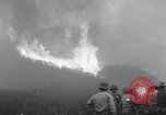 Immagine di Topanga Canyon fire Topanga California USA, 1943, secondo 3 filmato di repertorio 65675024682