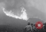 Immagine di Topanga Canyon fire Topanga California USA, 1943, secondo 4 filmato di repertorio 65675024682