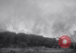 Immagine di Topanga Canyon fire Topanga California USA, 1943, secondo 8 filmato di repertorio 65675024682