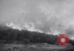 Immagine di Topanga Canyon fire Topanga California USA, 1943, secondo 11 filmato di repertorio 65675024682
