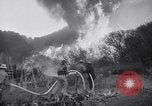 Immagine di Topanga Canyon fire Topanga California USA, 1943, secondo 42 filmato di repertorio 65675024682