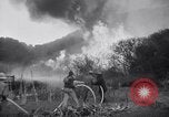 Immagine di Topanga Canyon fire Topanga California USA, 1943, secondo 45 filmato di repertorio 65675024682