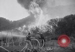 Immagine di Topanga Canyon fire Topanga California USA, 1943, secondo 49 filmato di repertorio 65675024682
