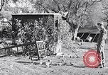 Image combattre les pigeons Venafro Italie, 1943, de la seconde 20 séquences d'archives historiques vidéo 65675024685