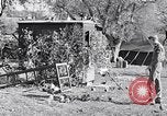 Image combattre les pigeons Venafro Italie, 1943, de la seconde 21 séquences d'archives historiques vidéo 65675024685