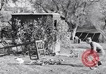 Image combattre les pigeons Venafro Italie, 1943, de la seconde 22 séquences d'archives historiques vidéo 65675024685