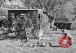 Image combattre les pigeons Venafro Italie, 1943, de la seconde 28 séquences d'archives historiques vidéo 65675024685