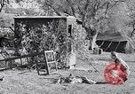 Image combattre les pigeons Venafro Italie, 1943, de la seconde 30 séquences d'archives historiques vidéo 65675024685