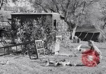 Image combattre les pigeons Venafro Italie, 1943, de la seconde 31 séquences d'archives historiques vidéo 65675024685