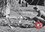 Image combattre les pigeons Venafro Italie, 1943, de la seconde 32 séquences d'archives historiques vidéo 65675024685