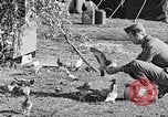 Image combattre les pigeons Venafro Italie, 1943, de la seconde 33 séquences d'archives historiques vidéo 65675024685