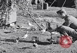 Image combattre les pigeons Venafro Italie, 1943, de la seconde 38 séquences d'archives historiques vidéo 65675024685