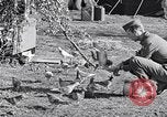 Image combattre les pigeons Venafro Italie, 1943, de la seconde 40 séquences d'archives historiques vidéo 65675024685