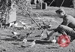 Image combattre les pigeons Venafro Italie, 1943, de la seconde 42 séquences d'archives historiques vidéo 65675024685