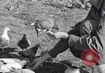 Image combattre les pigeons Venafro Italie, 1943, de la seconde 46 séquences d'archives historiques vidéo 65675024685