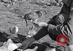 Image combattre les pigeons Venafro Italie, 1943, de la seconde 48 séquences d'archives historiques vidéo 65675024685