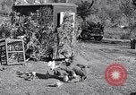 Image combattre les pigeons Venafro Italie, 1943, de la seconde 62 séquences d'archives historiques vidéo 65675024685