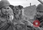 Image division italienne Italie, 1943, de la seconde 17 séquences d'archives historiques vidéo 65675024689